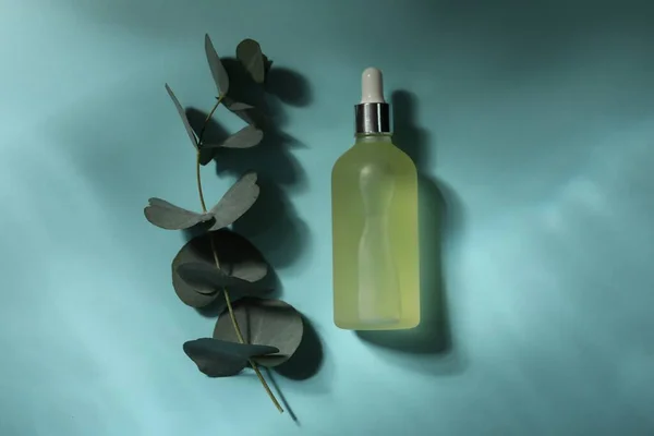 浅蓝色背景的亲水性油和桉树枝条瓶 — 图库照片