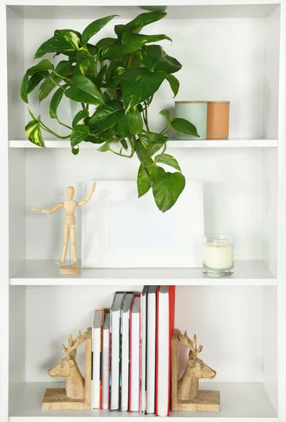 Hermosa Planta Interior Libros Decoración Unidad Estanterías Blancas Interior —  Fotos de Stock