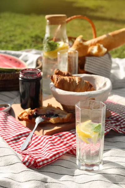 Delicious food and drink on striped blanket in garden. Picnic season