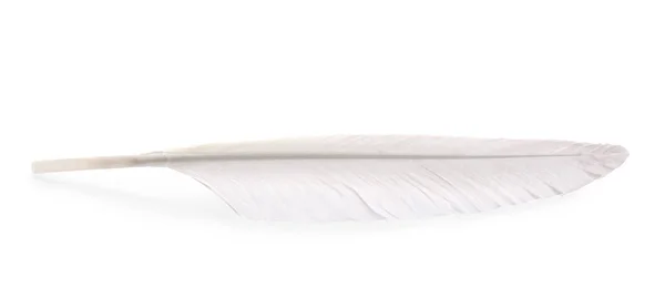 白地に孤立したふわふわの美しい羽 — ストック写真