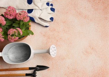 Sulama tenekesi ve bahçe aletleriyle renklendirilmiş arka planda düz kompozisyon. Metin için boşluk