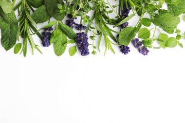 Many different aromatic herbs on white background, flat lay. Space for text