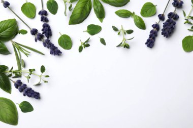 Many different aromatic herbs on white background, flat lay. Space for text