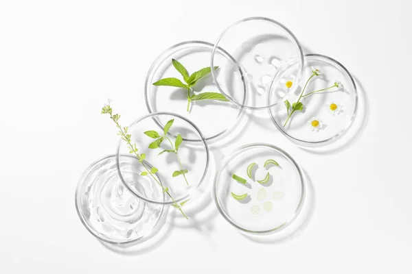 Petrischalen Met Verschillende Planten Cosmetische Producten Witte Achtergrond Bovenaanzicht — Stockfoto