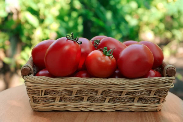 Wiklinowy Kosz Świeżymi Pomidorami Drewnianym Stole Zewnątrz — Zdjęcie stockowe