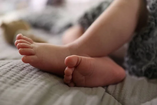 Adorable Bebé Recién Nacido Con Manta Mullida Gris Cama Primer —  Fotos de Stock