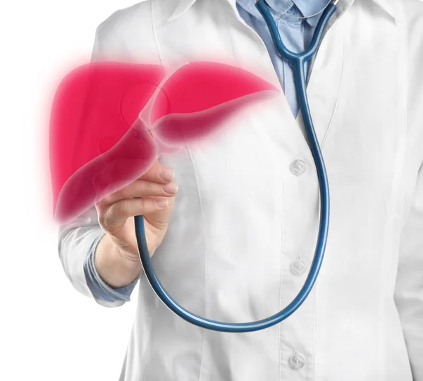 Doctor with stethoscope and illustration of healthy liver on light background, closeup