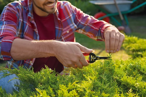 Homem Feliz Cortando Arbusto Livre Dia Ensolarado Close Tempo Jardinagem — Fotografia de Stock