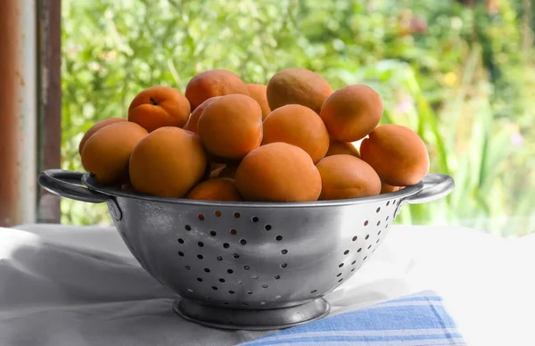 Colander Com Deliciosos Damascos Maduros Mesa Perto Janela — Fotografia de Stock