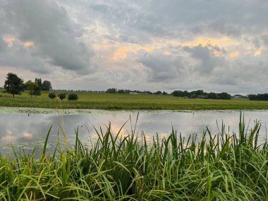 Nehir sazlıklarının ve bulutlu gökyüzünün resimli görüntüsü