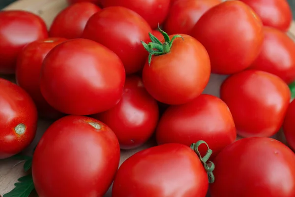 新鮮な熟したトマトの木の板 クローズアップ — ストック写真