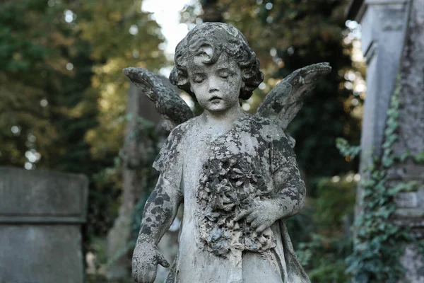 Belle Statue Ange Cimetière Symbole Religieux — Photo