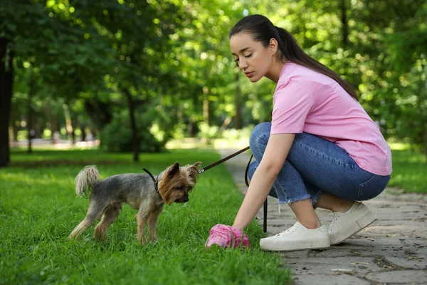 Woman Picking Her Dog Poop Green Grass Park — 图库照片