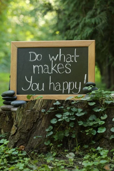 Доска Фразой What Makes You Happy Stump Outdoors — стоковое фото