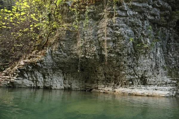 Picturesque View Clean River Cliffs Plants Outdoors — Stock Photo, Image