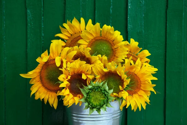 Bouquet Beautiful Sunflowers Bucket Green Wall Closeup — Stock Photo, Image