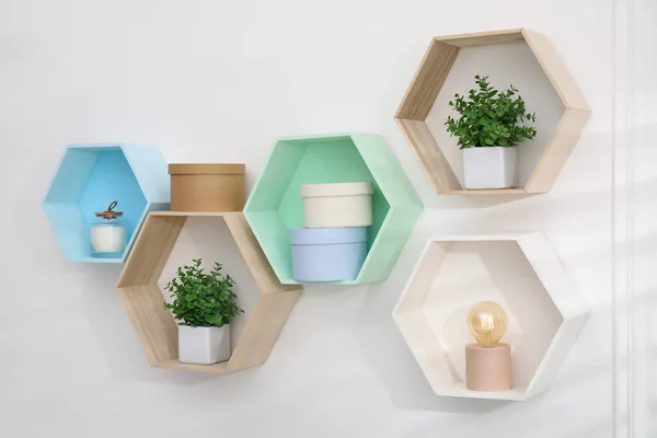 Honeycomb Shaped Shelves Decorative Elements Houseplants White Wall — ストック写真