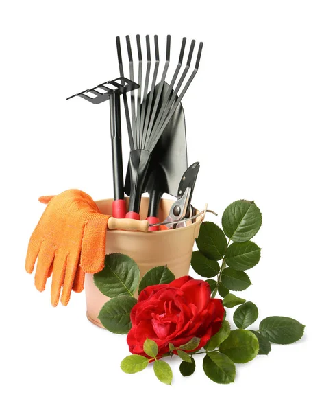 Ζευγάρι Γάντια Εργαλεία Κηπουρικής Και Ανθισμένα Τριαντάφυλλα Λευκό Φόντο — Φωτογραφία Αρχείου