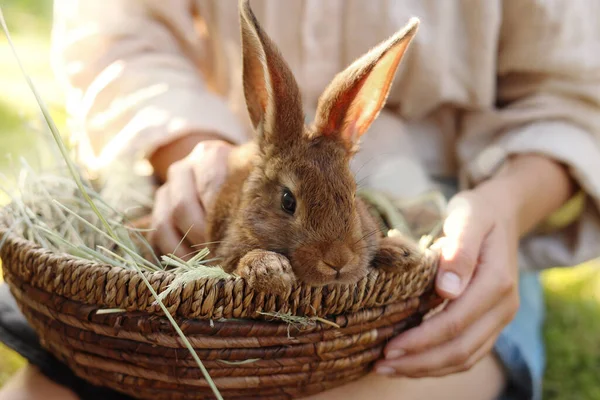 Vrouw Met Schattig Konijn Buiten Zonnige Dag Close — Stockfoto