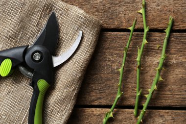 Ahşap masa üzerinde gül saplı Secateur, düz yatıyordu