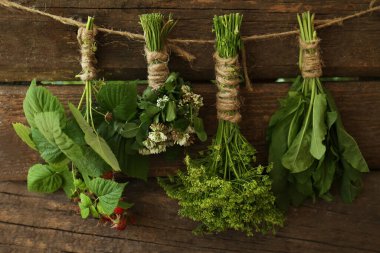 Bunches of different beautiful dried flowers hanging on rope near wooden wall