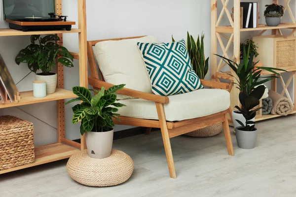 異なる観葉植物や木製の家具と美しいリビングルームのインテリア — ストック写真