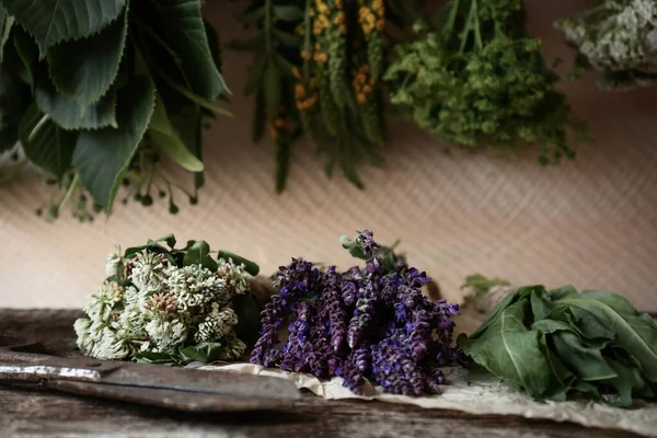 Sträuße Mit Verschiedenen Schönen Getrockneten Blumen Auf Einem Holztisch Der — Stockfoto
