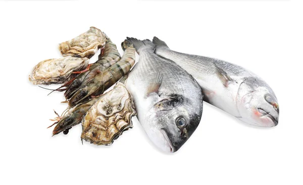 Čerstvé Dorado Ryby Krevety Ústřice Bílém Pozadí — Stock fotografie