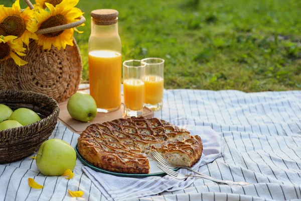 Piquenique Com Torta Deliciosa Maçãs Suco Cobertor Jardim Espaço Para — Fotografia de Stock