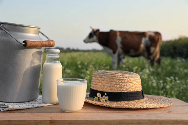 Milk Straw Hat Camomiles Wooden Table Cow Grazing Meadow — Stock Photo, Image