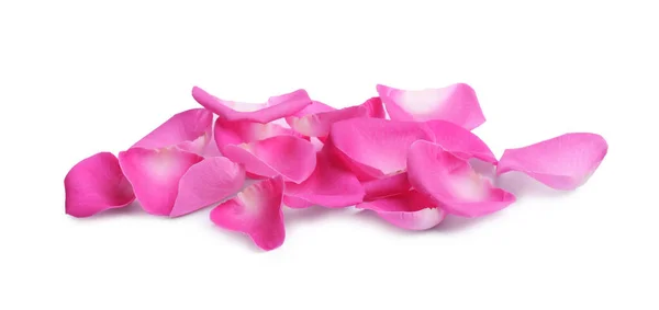 Many Pink Rose Petals White Background — Foto de Stock