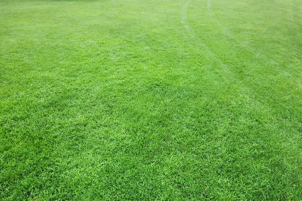 Beautiful Freshly Cut Green Lawn Background — Photo