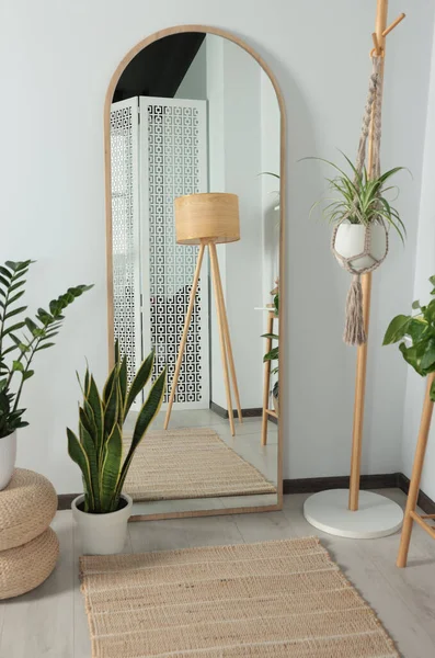Stylish full length mirror and houseplants near white wall in room