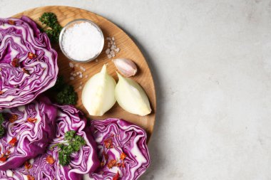 Taze kırmızı lahana, tuz, sarımsak ve soğan açık gri masada. Metin için boşluk