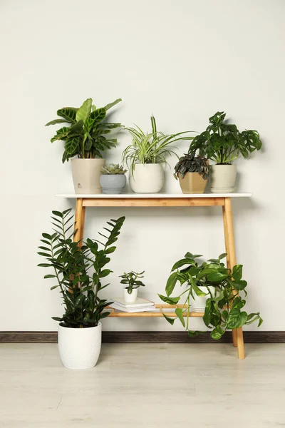 Wooden Table Beautiful Houseplants Light Wall — Foto de Stock