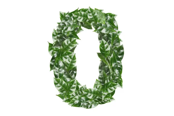 Nummer Gemaakt Van Verse Groene Bladeren Witte Achtergrond — Stockfoto
