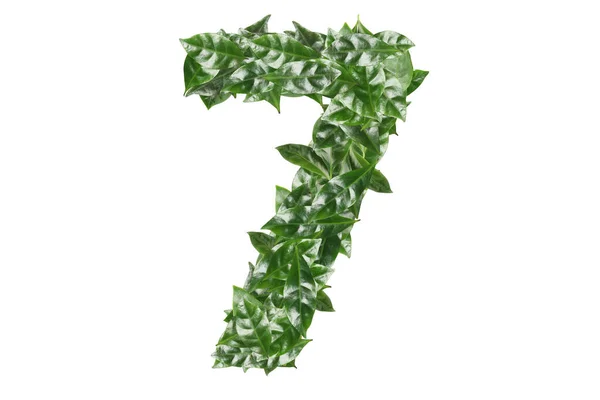 Número Feito Folhas Verdes Frescas Fundo Branco — Fotografia de Stock
