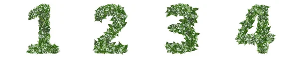Antal Gjorda Färska Gröna Blad Vit Bakgrund Banderolldesign — Stockfoto