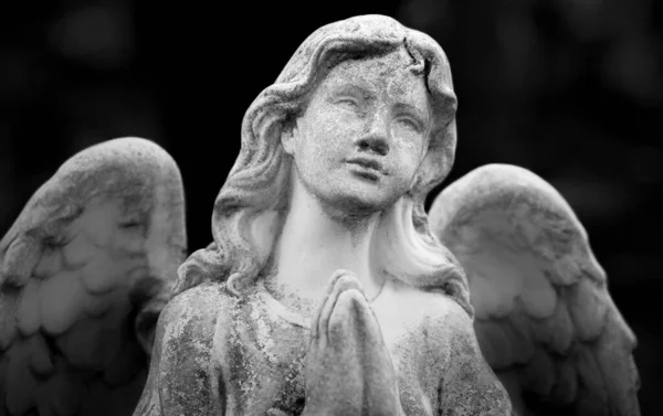 Beautiful Statue Angel Cemetery Monochrome Photography — Stock Photo, Image