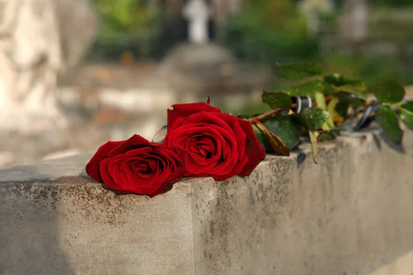 Czerwone Róże Szarym Nagrobku Zewnątrz Miejsce Tekst Ceremonia Pogrzebu — Zdjęcie stockowe