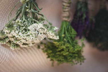 Bej duvarın yanında asılı bir sürü farklı kurumuş çiçek var.