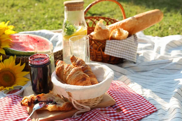 Leckeres Essen Und Trinken Auf Gestreifter Decke Garten Picknicksaison — Stockfoto