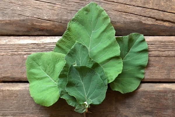 Fresh Green Burdock Leaves Wooden Table Flat Lay — Stockfoto