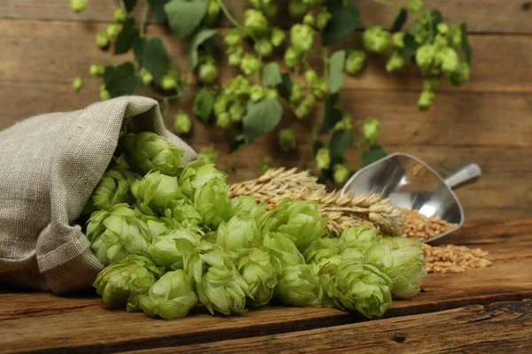 Frischer Grüner Hopfen Weizenkörner Und Ähren Auf Dem Holztisch — Stockfoto