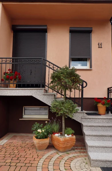 Hermosas Plantas Verdes Macetas Cerca Entrada Casa — Foto de Stock