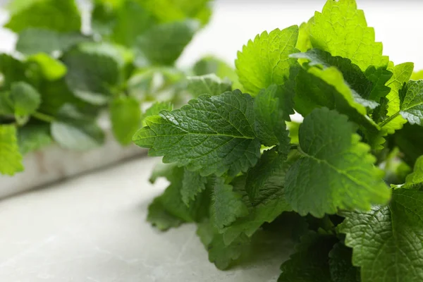 Färsk Citronmeliss Vitt Marmorbord Närbild — Stockfoto