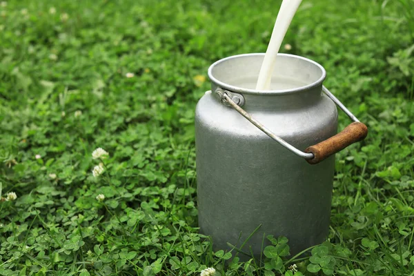 Pouring Fresh Milk Can Green Grass Outdoors Space Text — Stock Photo, Image