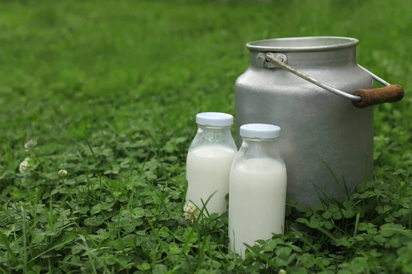 Пляшки Банки Свіжим Молоком Зеленій Траві Відкритому Повітрі Простір Тексту — стокове фото