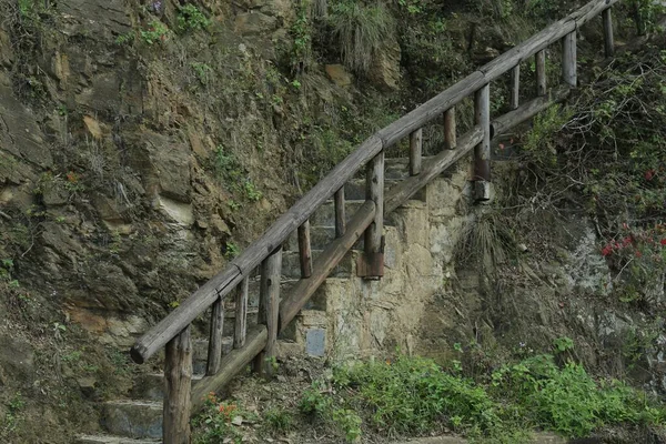 Pasamanos Madera Cerca Escaleras Piedra Plantas Aire Libre — Foto de Stock