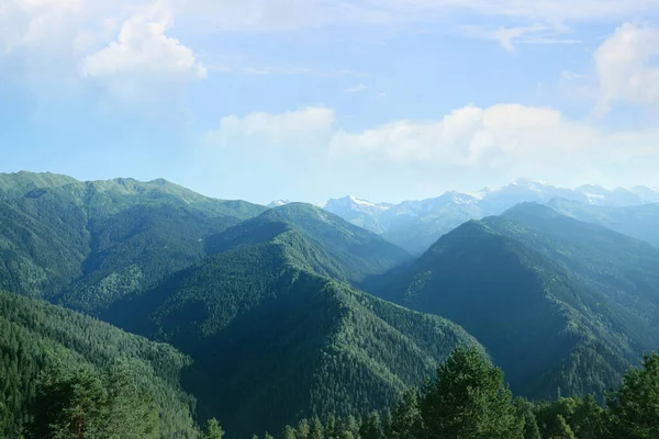 Vista Aérea Del Hermoso Paisaje Con Bosque Montaña Día Soleado —  Fotos de Stock